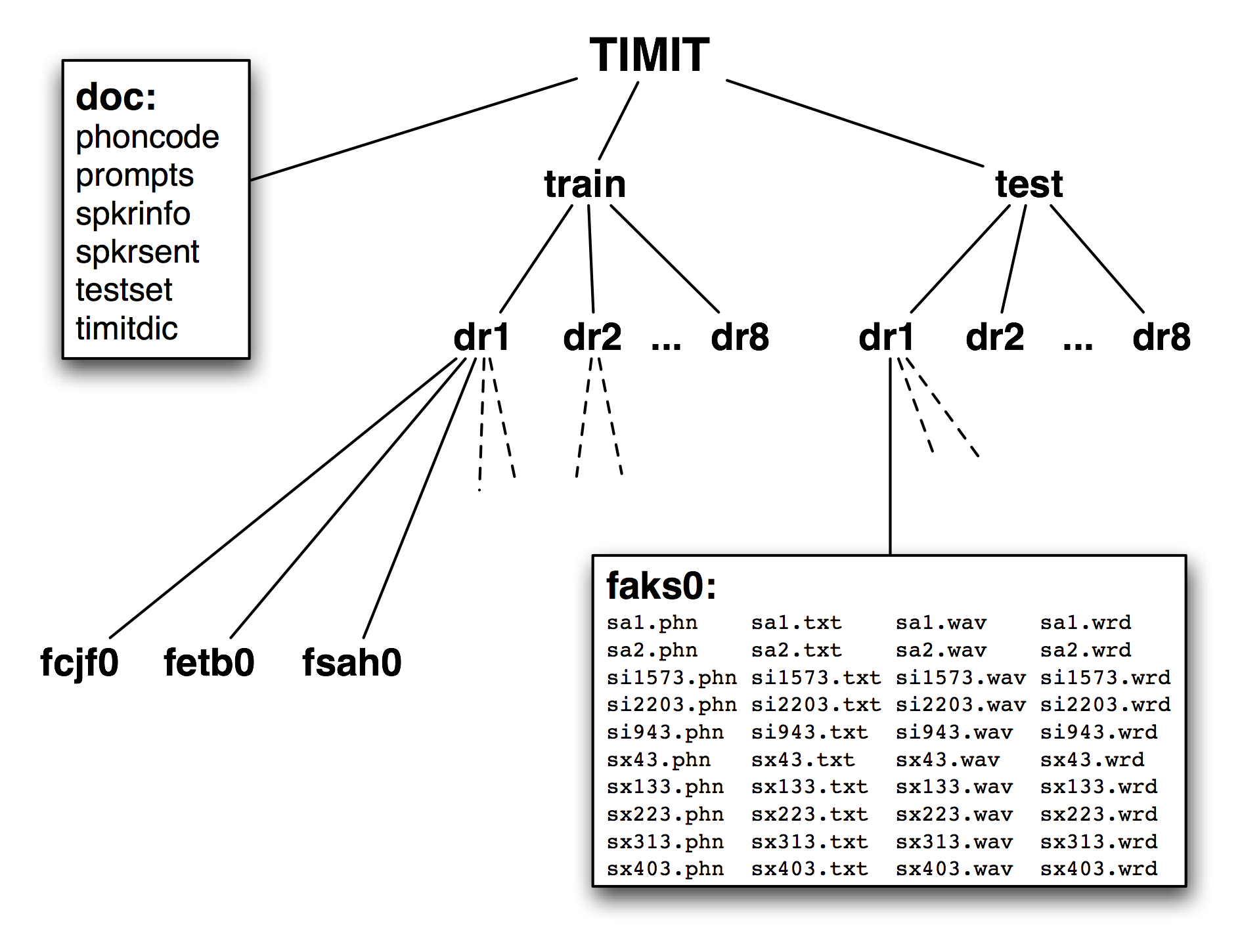 Images/timit-structure.png